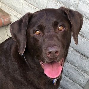 Meet your Posher, Denise